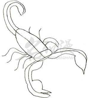 毒蝎子怎么画最帅一只图片