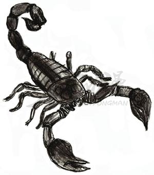 毒蝎子怎么画 霸气图片